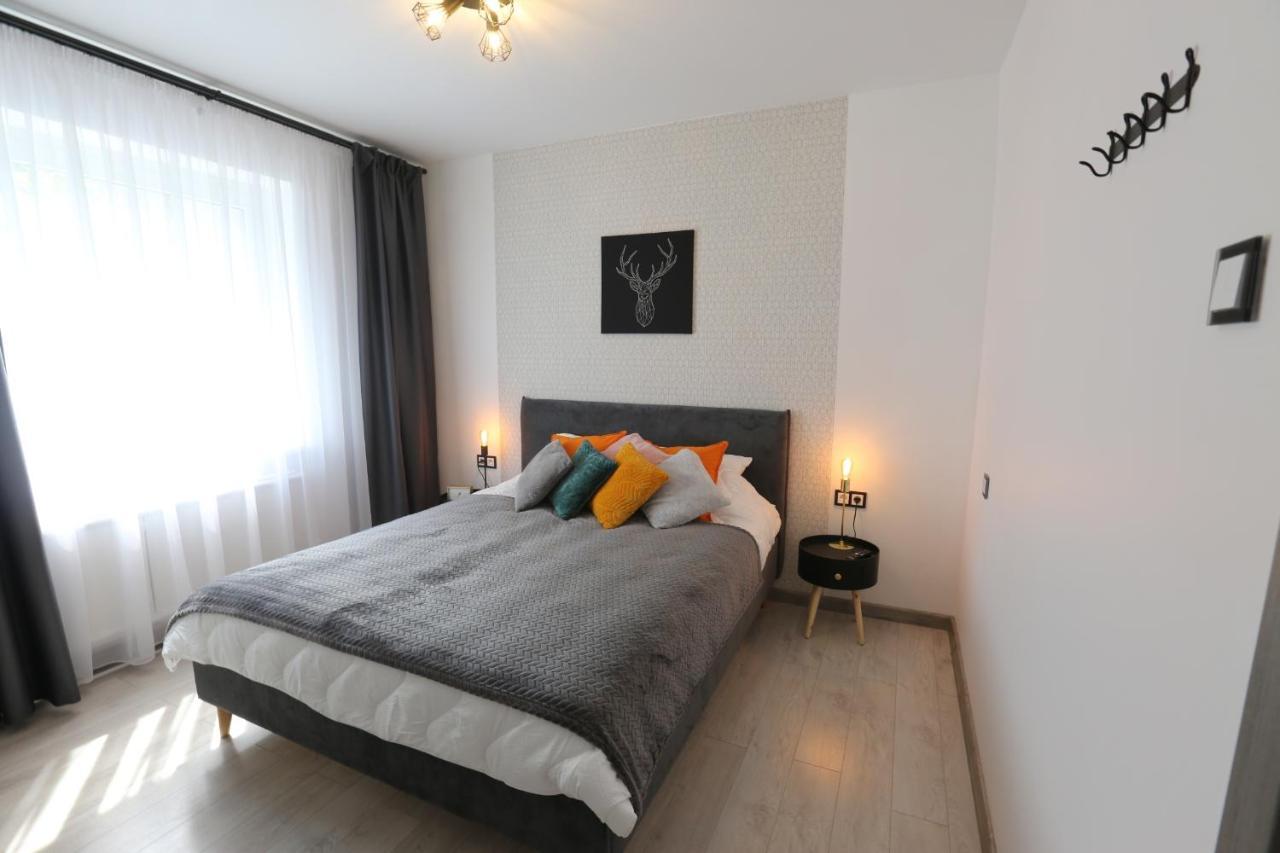 Comfy 2 Room Apartment - Free Parking - 350Mbps Wifi - Netflix Kowno Zewnętrze zdjęcie